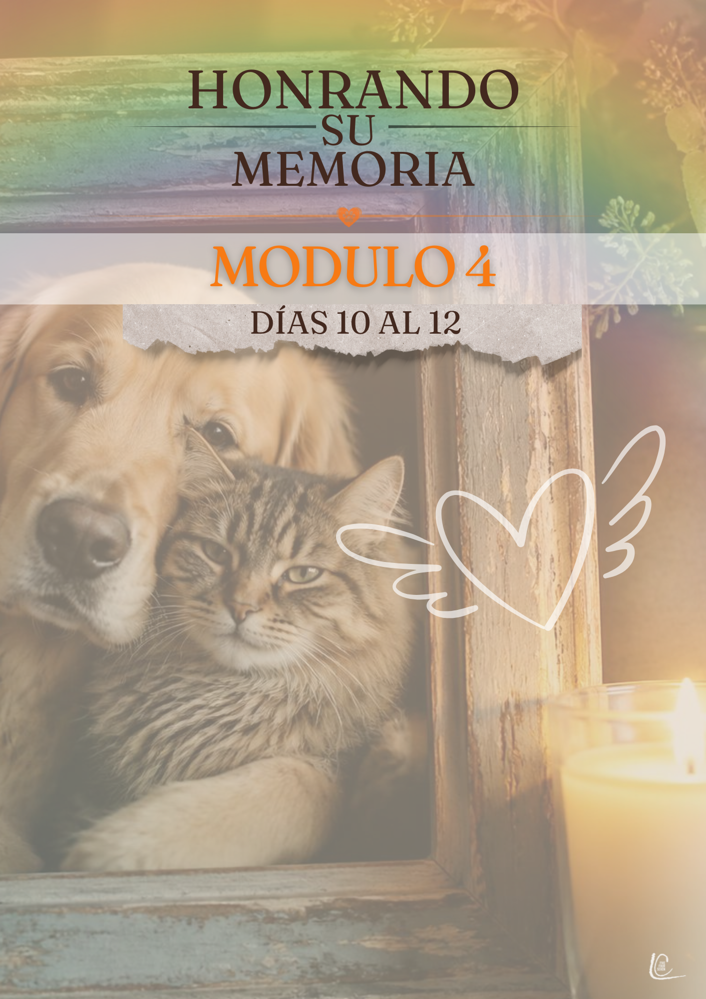 Álbum de recuerdos con marcos y flores para honrar la memoria de la mascota