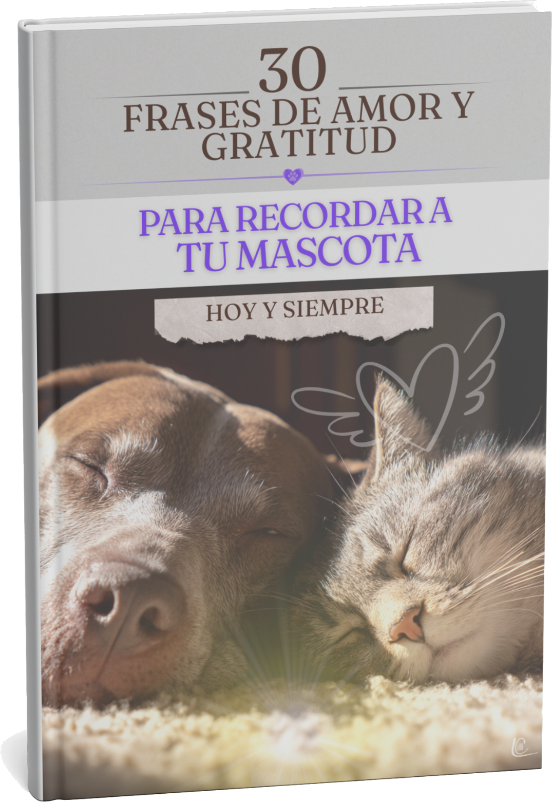 Tarjetas con frases de amor y gratitud para recordar a una mascota