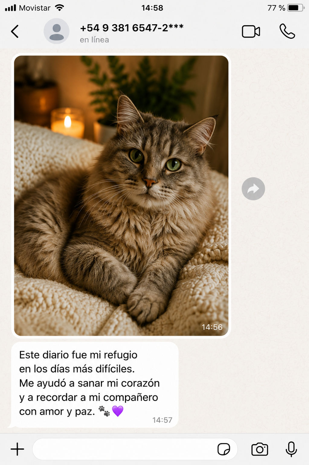Testimonio de una persona que usó el diario de 15 días (4)